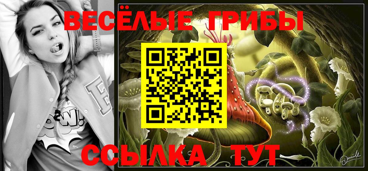 Каменск-Уральский  Галлюциногенные грибы мицелий  Вход с VPN 